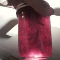 I'm holding up the jar of Plum Jam to the light so you can see how pretty it is :), copyright 3moonmama, 2013